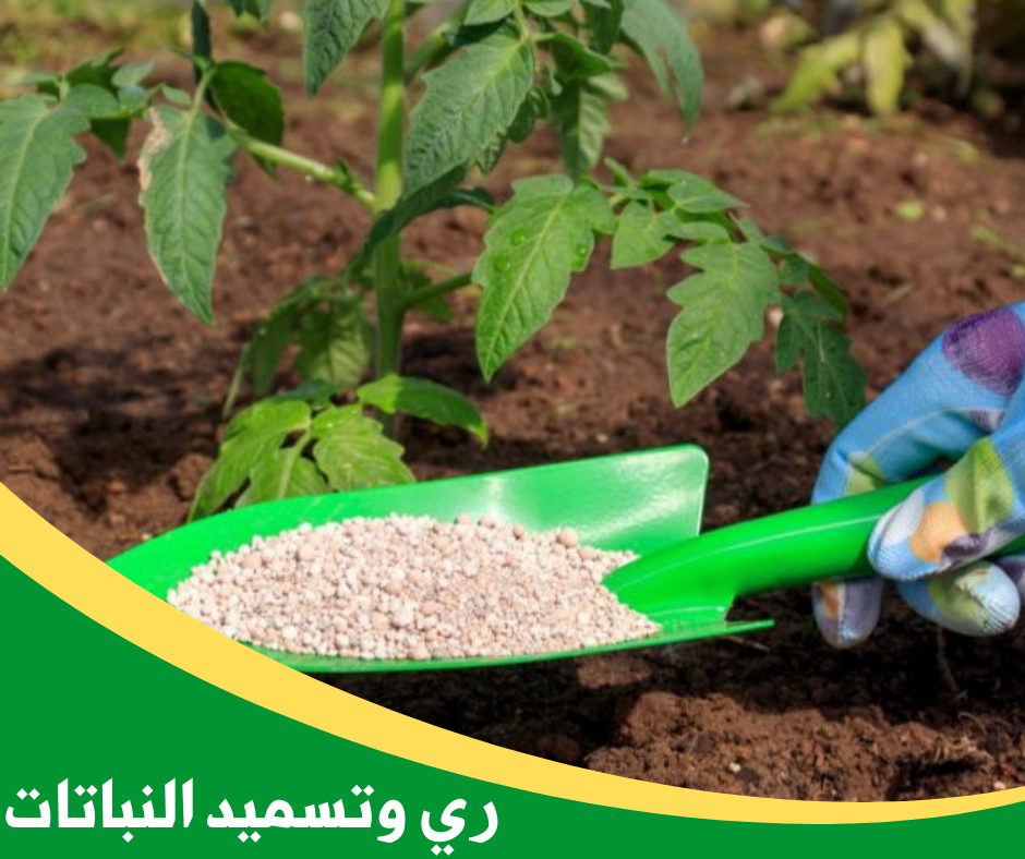 ري وتسميد النباتات